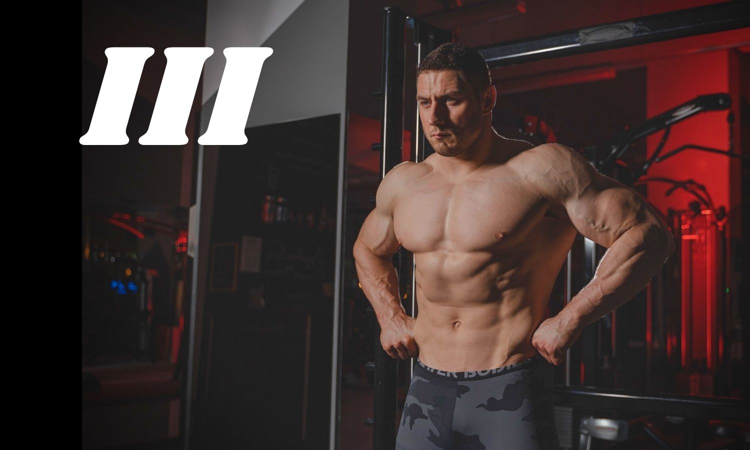 12 week bodybuilding program free cheap